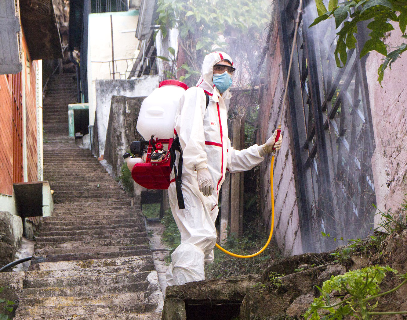 Ignifugare profesională materiale construcție lemn București - Maestro DDD